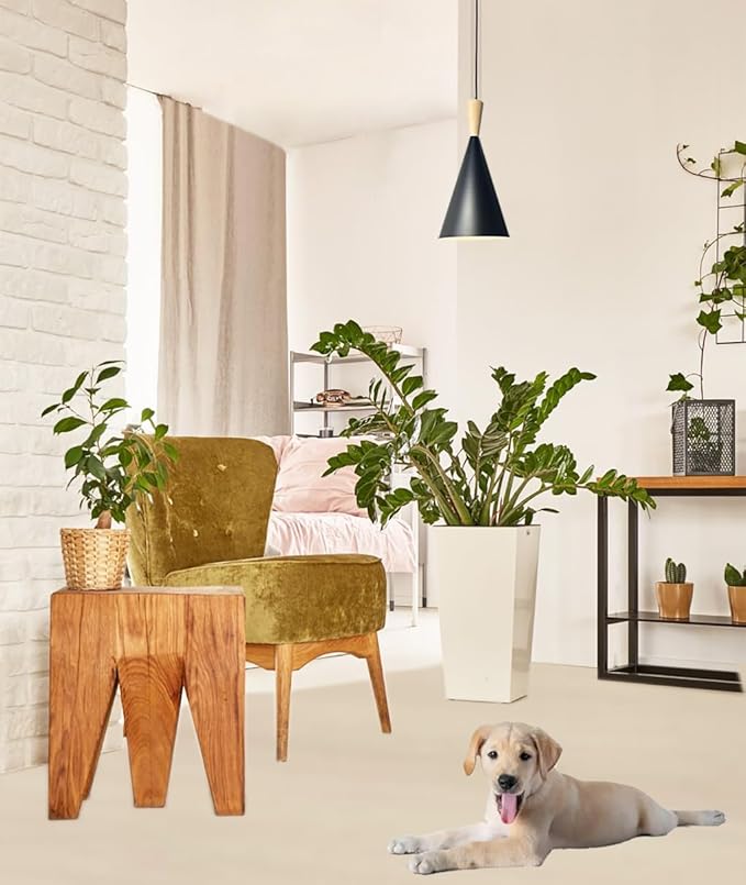 Hanging Grow Light, 20W Full Spectrum Pendant Grow Lights 15FT Power Cord, Decorative Grow Light for Indoor Plants, Flowers, Garden (Ceiling Mounted Hooks&Wall Mounted Bracket Included)