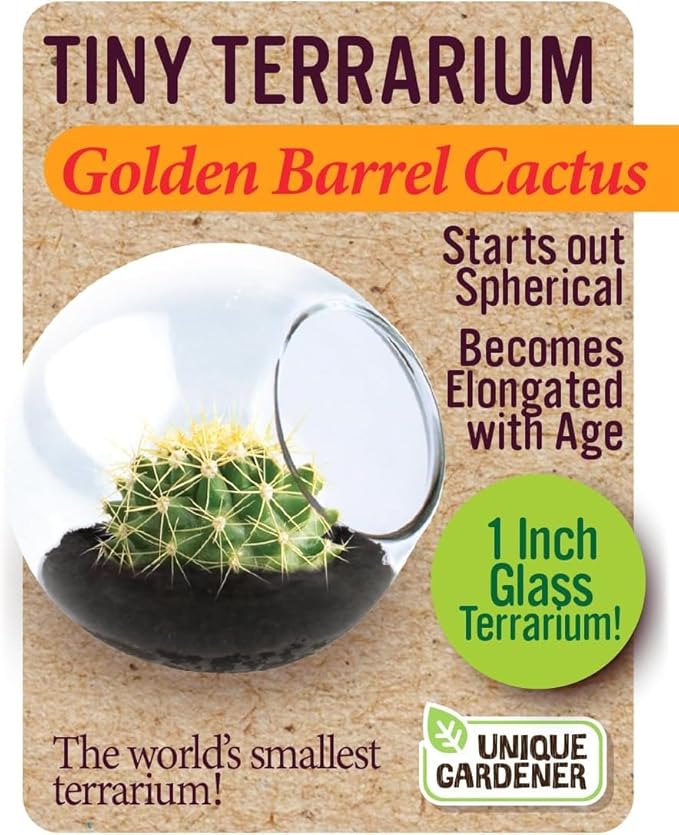 Tiny Terrarium Plant Seeds 6 Variety Cacti Pack, DIY Indoor Succulents and Live Plants for Home or Garden Planting, Assorted Cacti Pack