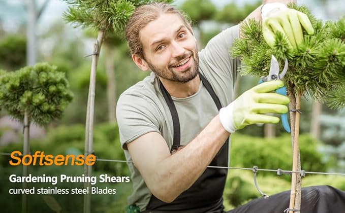 Garden Scissors for Plant, Tip Pruning Shears for Cutting Flowers, Trimming Plants, Bonsai and Fruits Picking (Blue Bypass Blade Pruner)