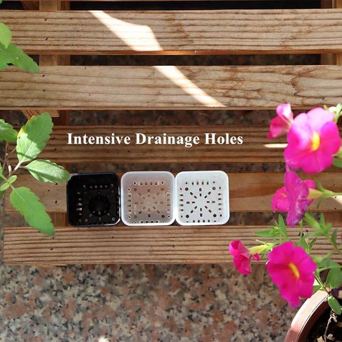 BangQiao 300 Pack 1.55 Inch Tiny Clear Plastic Square Nursery and Seedling Pot, Mini Transplant Seed Starter Planter with Drain Hole for Germination, Herb, Succulent
