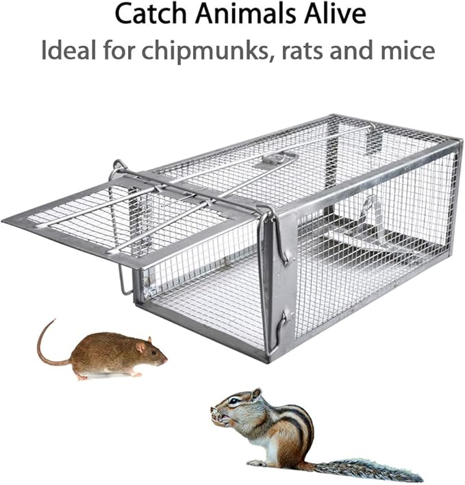 Gingbau 2-Pack Rat Traps Humane Live Chipmunk Cage Traps