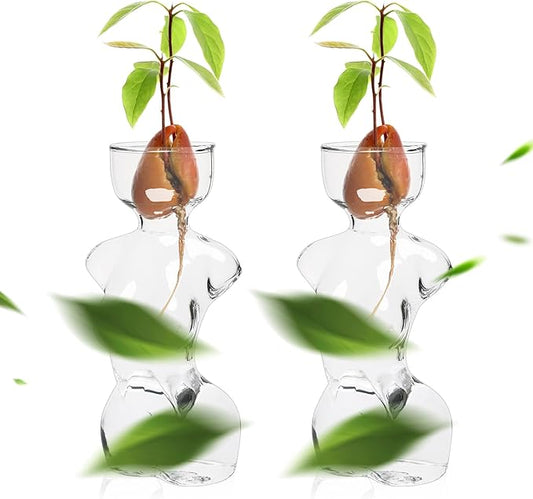 Propagation Vases for Plants Plant Propagation Jars Unique Body Avocado Vase Glass Planter Perfect for Seed Starting, Water Rooting and Home Decor Gift for Father
