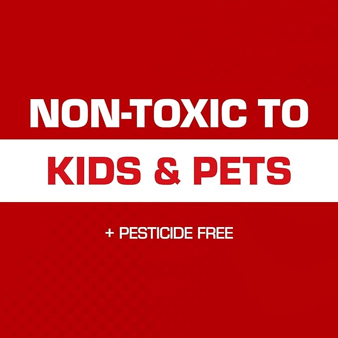 Tomcat Super Hold Glue Traps Mouse Size for Mice, Cockroaches, Spiders, and Scorpions, Ready-To-Use, 4 Traps (2-Pack)