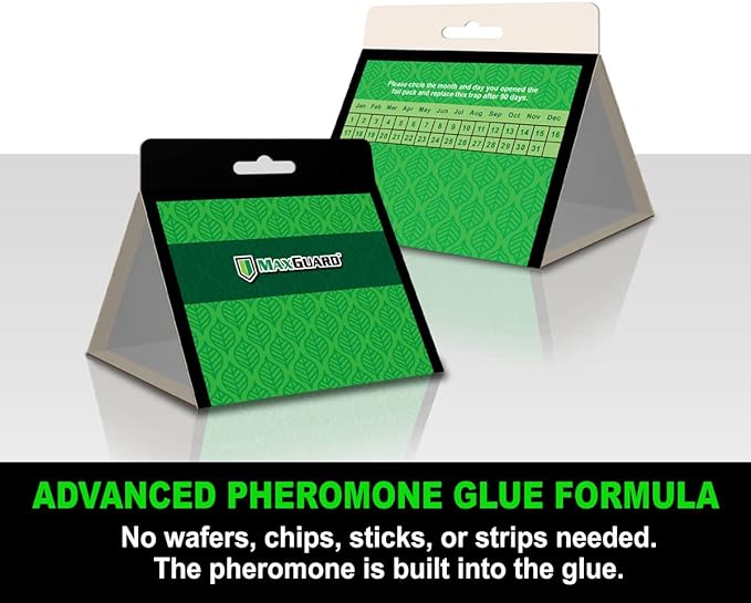 MaxGuard Pantry Moth Traps (24 Pack) with Extra Strength Pheromones | Non-Toxic Sticky Glue Trap for Food and Cupboard Moths in Your Kitchen | Trap and Kill Seed Grain Flour Meal Moths Pests |