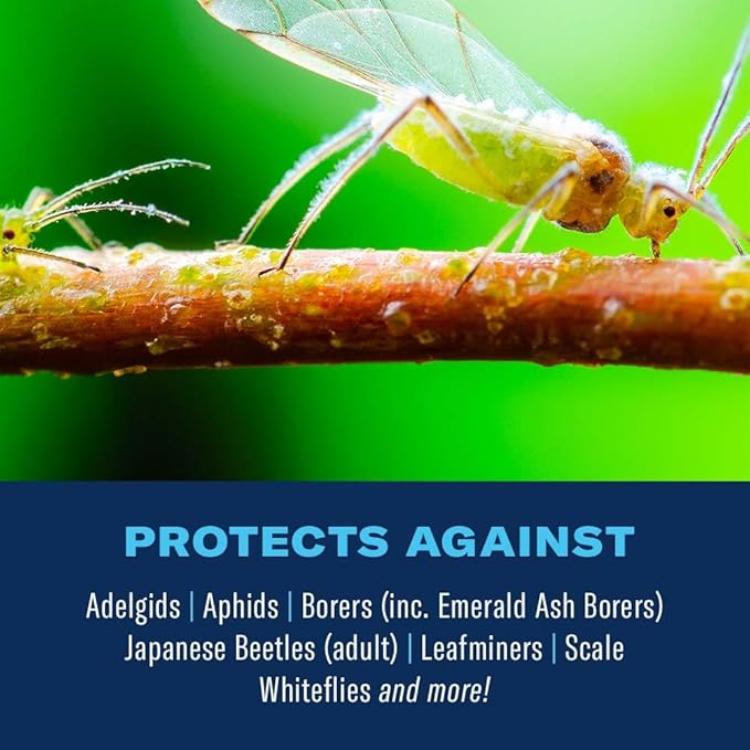 BioAdvanced 12 Month Tree and Shrub Fertilizer, Protect & Feed Concentrate, 64 oz, Insect Killer and Plant Food