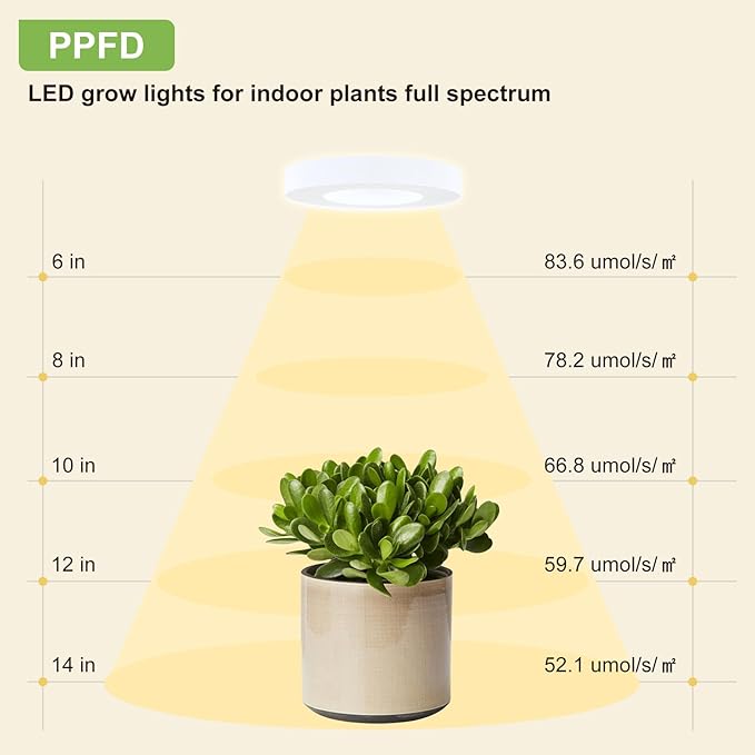 Grow Light for Indoor Plants, 96 LEDs Full Spectrum Halo Plant Light with Auto On/Off Timer (4/8/12H), 10-Level Dimmable, 3 Lighting Modes for Small Plants, Succulents (White, Dual Head)
