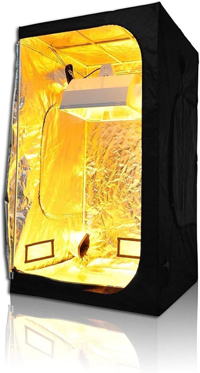 SunStream 600 Watt HPS Light Dimmable Electronic Grow Light Ballast for Indoor Plant (Yellow)