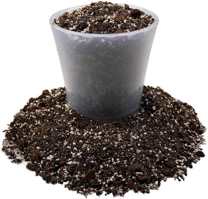 Premium Dahlia Potting Soil Mix - Ideal for Growing Vibrant and Healthy Dahlias - 1 Quart