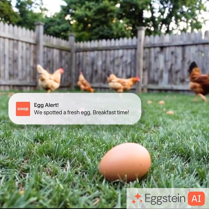 Coop Smart WiFi Chicken Camera – iOS Only, 1080p HD, Night Vision, AI Predator Alerts, Battery + Solar Option, Outdoor Waterproof Security Cam Monitoring & Egg Watch