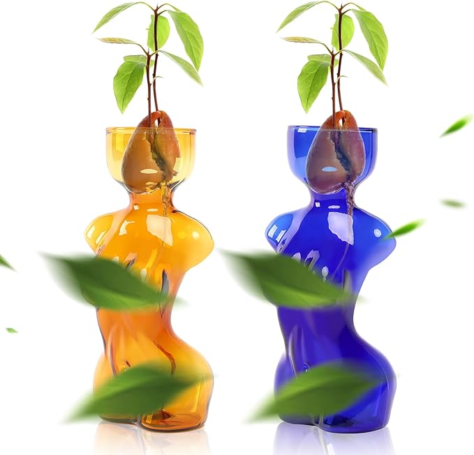 Propagation Vases for Plants Plant Propagation Jars Unique Body Avocado Vase Glass Planter Perfect for Seed Starting Water Rooting and Home Decor Gift for Father