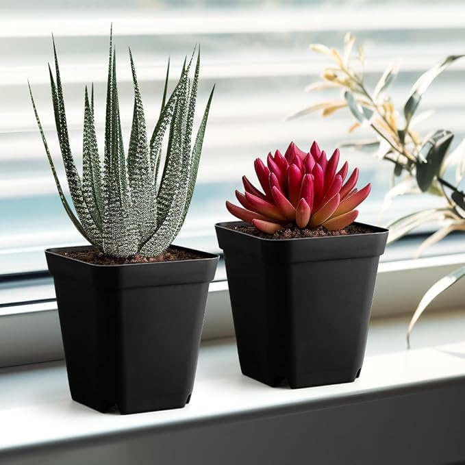 80 Pcs Nursery Pots 4 Inch, Plastic Seed Starting Pot with Drainage Holes, Sturdy Seedling pots for Planting, Succulents, Transplanting, Cuttings (Black)