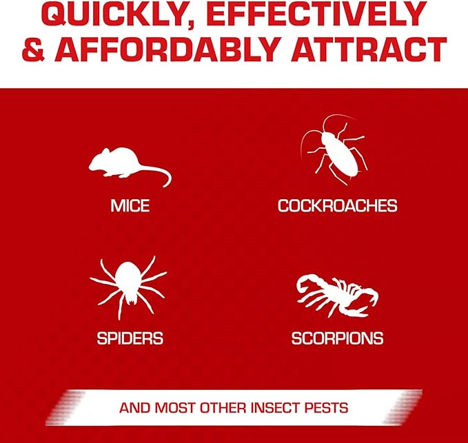 Tomcat Super Hold Glue Traps Mouse Size for Mice, Cockroaches, Spiders, and Scorpions, Ready-To-Use, 4 Traps