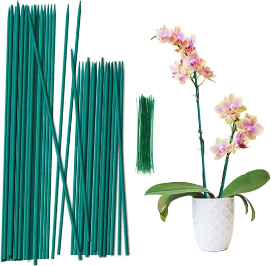 Plant Sticks 17 Inch &12 Inch Wood Plant Stakes 30 Pack Orchid Support Stick Sturdy Blue Green Bamboo Plant Holder Gardening Floral Picks Potted Plants Support