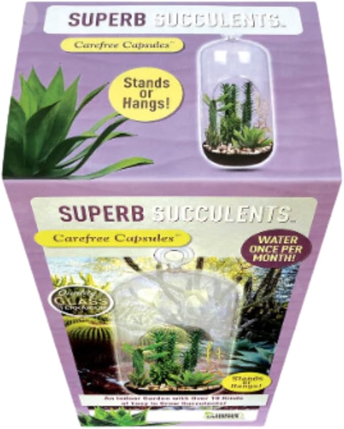Create Your Stunning Succulent Oasis with Our Superb Succulent Terrarium Grow Starter Kit - Over 10 Varieties for Easy Indoor Gardening with Complete Supplies, Easy Growing Terrariums for Beginners
