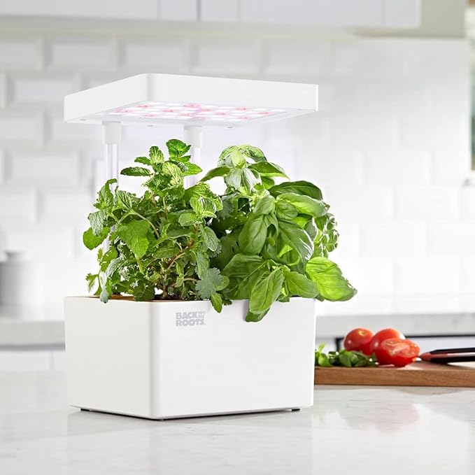 Back to the Roots 33006 Hydroponic Grow Kit Refill Pack