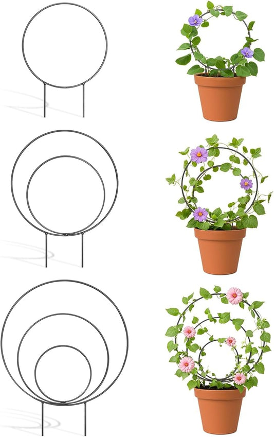3 Pcs Different Sizes Metal Hoya Trellis, Small Round Indoor Plant Trellis for Potted Plants Climbing, Black Unique Houseplant Trellis for Vine Ivy Flower Plant Support