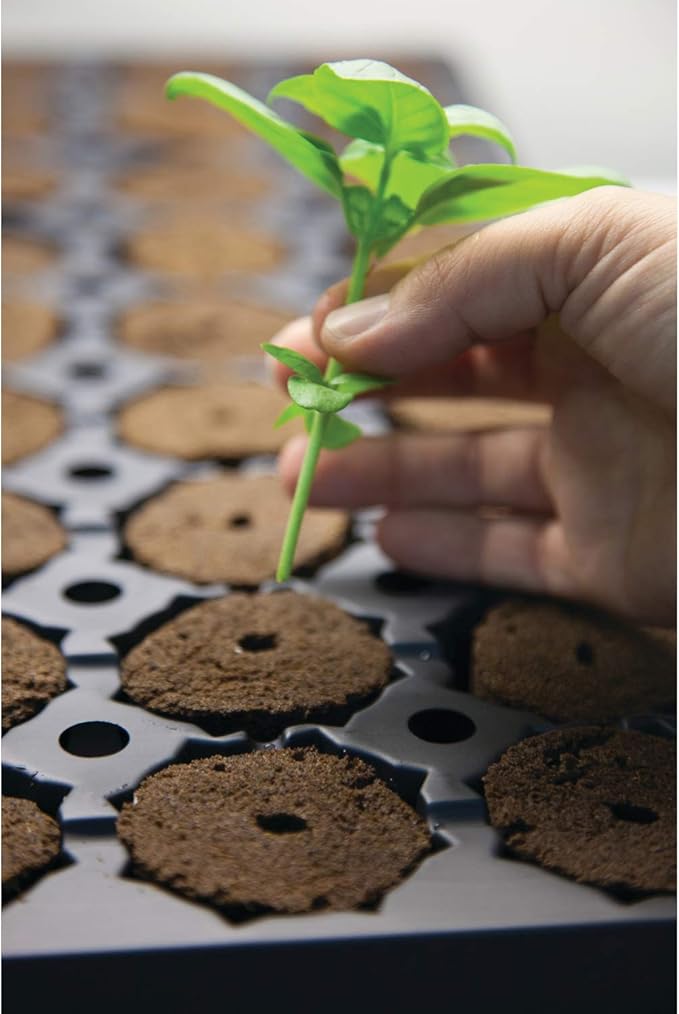 General Hydroponics Rapid Rooter, Starter Plug for Seeds or Cuttings, Great for Soil or Hydroponics Growing System, 50 Plugs