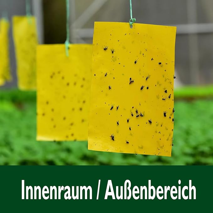 Garsum 20 Pack Gnat Sticky Traps for Indoor and Outdoor, Fruit Fly Paper Sheets Yellow Insect Killer for Flying,Whitefly, Aphids, Leafminers- 6x8 in, Twist Ties Included