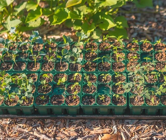 Vego garden Seedling Suite Products, 4 Pack Standard Seedling Trays with 10" x 10" Bottom Watering Trays