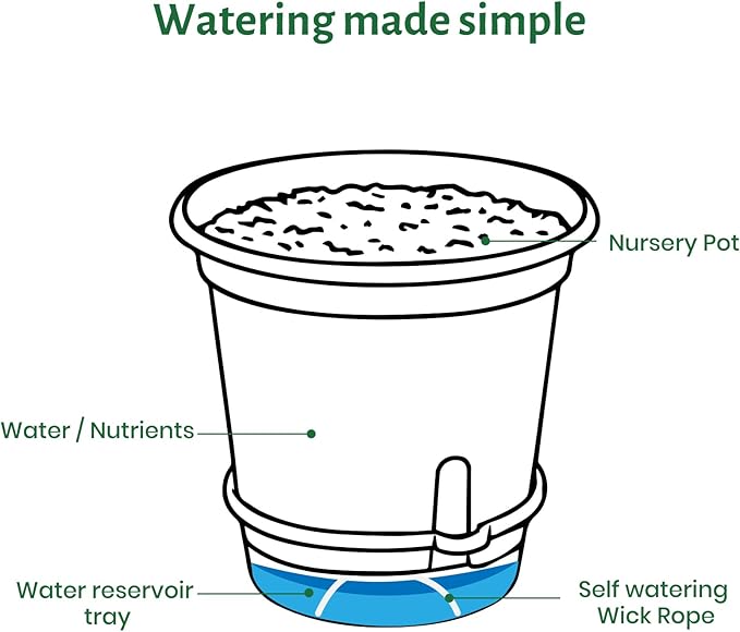 20 Packs 5 Inch Clear Plant Pots, Plastic Self Watering Planters with Drainage Holes, Deep Reservoir, Transparent Nursery Pots