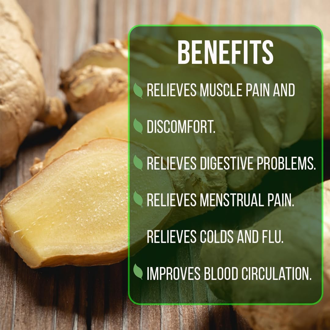 Ginger Root Plant (4 Pack) | Live Edible Plant for Planting | Grow Your Own Fresh Ginger at Home | Spicy & Aromatic Rhizome for Cooking & Tea | Easy to Grow Perennial for Organic Gardens