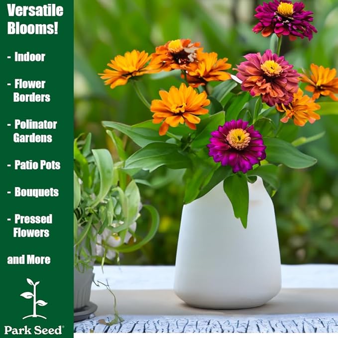 Park Seed Zinnia Flower Planting Seeds, Easy to Grow, Perfect for Spring Garden, Uproar Rose Hybrid, Pack of 15