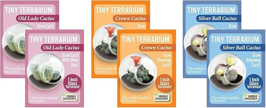 Tiny Terrarium Plant Seeds 3 Variety Pack, DIY Indoor Succulents and Live Plants for Home or Garden Planting, 2 Each of Assorted Cacti Pack