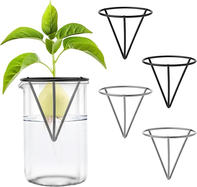 Avocado Seeds - Avocado Seed Starter Vase Rack for Mason Jar of Wide-Mouth 4Pcs, Avocado Seed Holder Triangular Metal Bracket for Family Friends and Gardening Enthusiasts (4 Pcs Vase Rack)