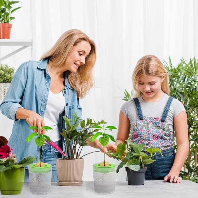 Avocado Tree Growing Kit, 4 Pack Green EVA Foam Avocado Growing O Ring, Plant Pot Plant Easy Seed Sprout Grow, Floating On Water, Seeds Growing Gifts for Family Friends and Gardening Enthusiasts