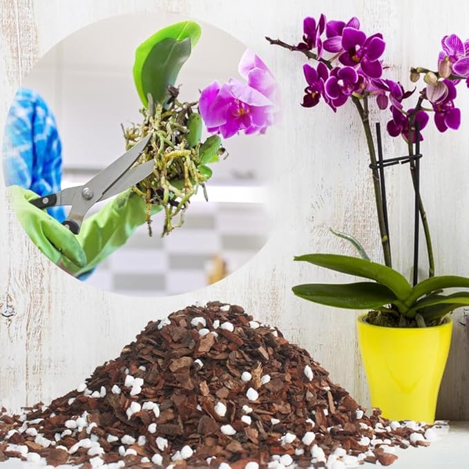 5QT Orchid Potting Mix with Mix Pine Bark & Perlite, Orchid Repotting Soil Medium Great for Indoor Plant Root Climbing & Expanding