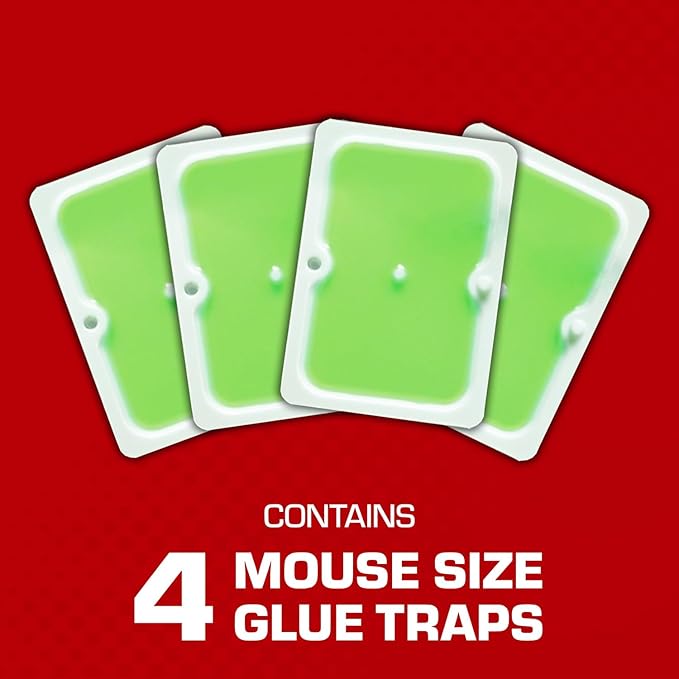 Tomcat Super Hold Glue Traps Mouse Size for Mice, Cockroaches, Spiders, and Scorpions, Ready-To-Use, 4 Traps