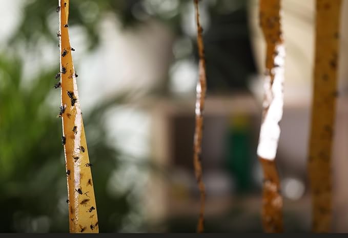 30Pcs Fly Strips Indoor Sticky Hanging with Pins - Fast Acting Fly Paper Indoor for Home, Tape Outdoor, Fruit Catchers for Inside, Ribbon Sticky Traps for Home