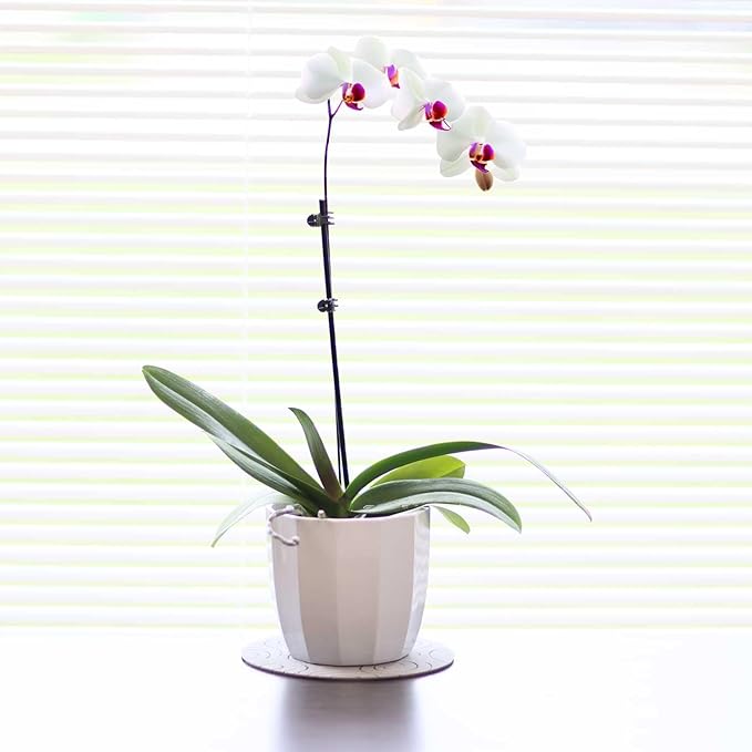 4 Pieces Microfiber, Water Resistant Flower Pot Holder, Absorbent Non-Slip Pot Plant Pad Round Plant Coaster Mat Indoor Flower Plant Protect Mat for Table Desk, or Windowsill (Multi Size, 4, Pack of)