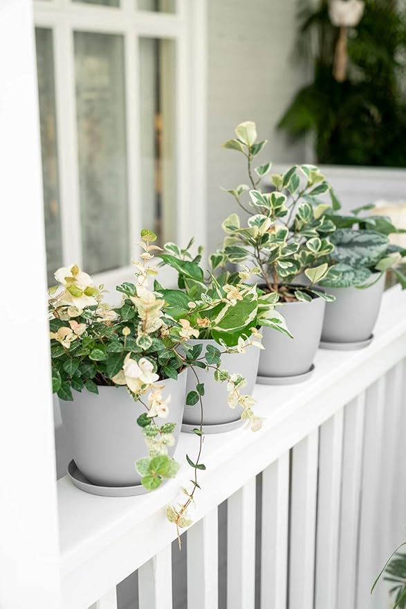 Mkono 6.5" Plastic Plant Pots for Plants with Saucers, Indoor Set of 5 Plastic Planters Modern Flower Pot with Drainage Hole for All House Plants, Herbs, Flowers, and Seeding Nursery, Gray