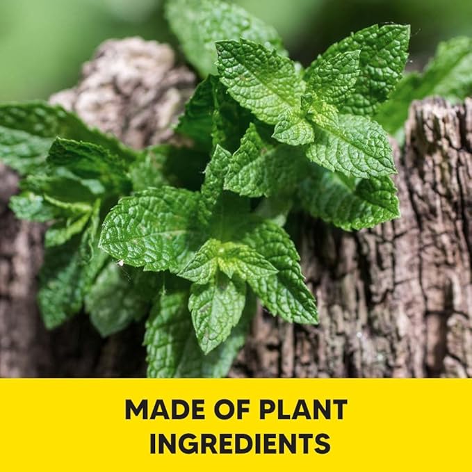 Squirrel Repellent, Chipmunk Repellant Outdoor, Squirrel Repellent Outdoor, Safe Deterrent for Gardens/Bird Feeders/Attic & Yard, Natural Mint Squirrel & Chipmunk Repellant for Plants - 10P