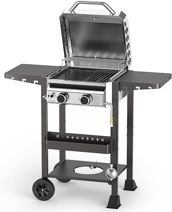 2 Burner Gas Grills Propane, 16,000 BTU Stainless Steel Compact Gas Barbecue Grill with Foldable Shelves, Small Propane Grills Outdoor Cooking for Patios Backyard Camping, 255 SQ.IN Cook Area