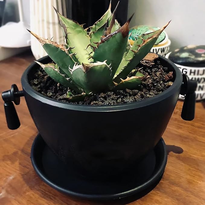 Black Horticultural Lava Rocks for Plants, 10lb Succulents Cactus Bonsai Soil Lava Rocks for Aquarium Outdoor Decorative Stones for Craft Projects, Vase Fillers