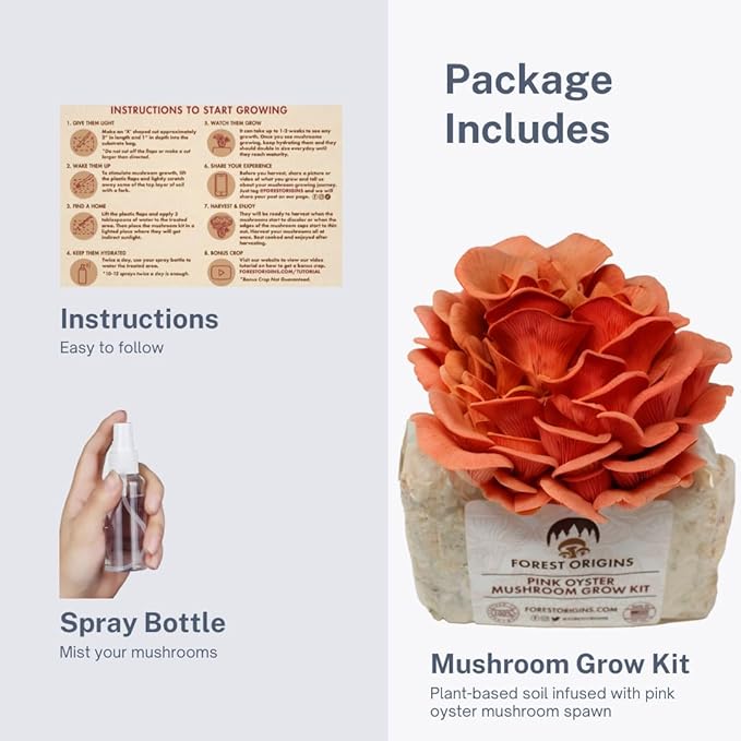 Pink Oyster Mushroom Grow Kit, Beginner Friendly & Easy to Use, Grows in 10 Days | Handmade in California, USA | Top Gardening Gift, Holiday Gift & Unique Gift