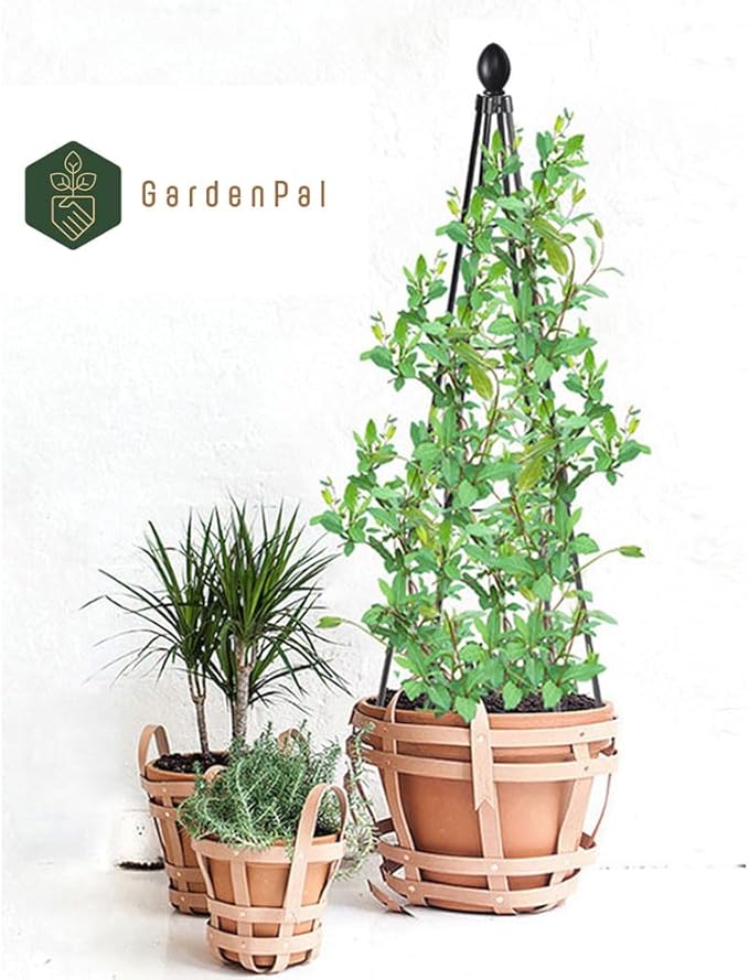 GardenPal 2 Pack 4ft Decorative Garden Obelisk Trellis, Metal Plant Trellis and Tomato Cage for Potted Plants, Decorative Tomato cage Plant Trellis for Vines, Rose, Pea