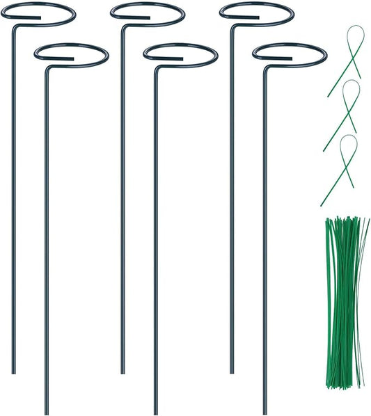 6 Pack Plant Support Stakes, 16 inch Plant Rings with 50 Pcs Plant Twist Ties, Single Stem Plant Support Stakes for Plant Flowers, Amaryllis, Rose, Orchid, Peony, Lily, Tomatoes, Vegetable