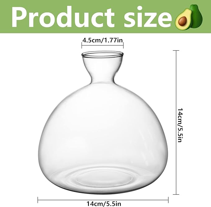 Avocado Tree Growing Kit,Avocado Seed Starter Vase,Glass Plant Pot with Avocado Stickers,Plant Indoor Grow Gardening Gifts