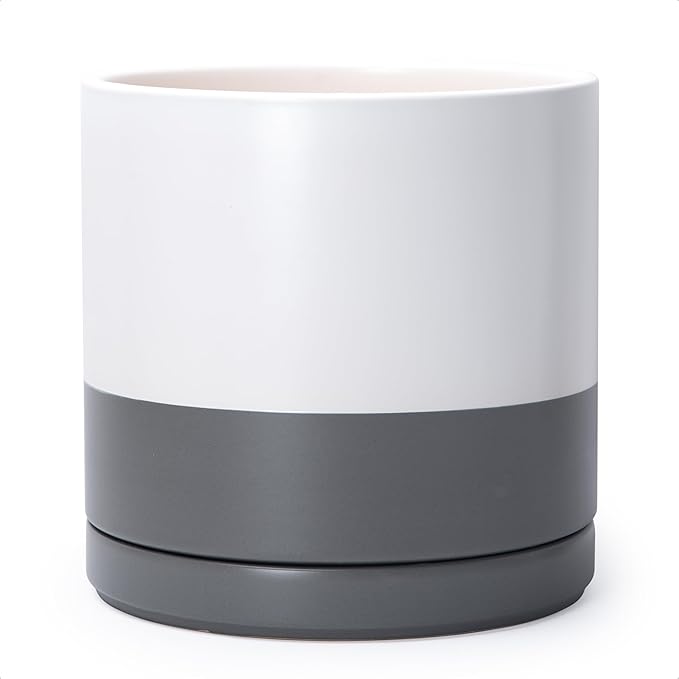 D'vine Dev 12 Inch Ceramic Planter Pot with Drainage Hole and Saucer, Indoor Cylinder Round Planter Pot, White/Speckled Grey, 94-O-F-6