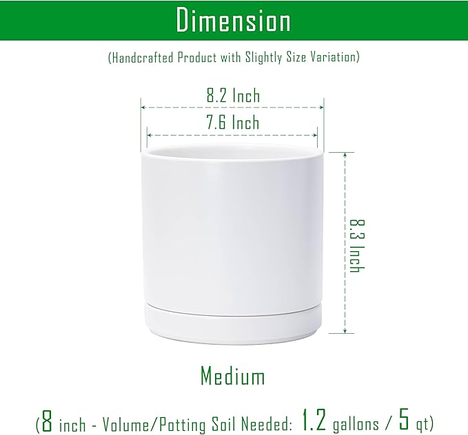 D'vine Dev Set of 2 Plants Pots, 8.2 Inch Ceramic Planter Pot for Plants with Drainage Hole and Saucer, White, 94-V-D-1