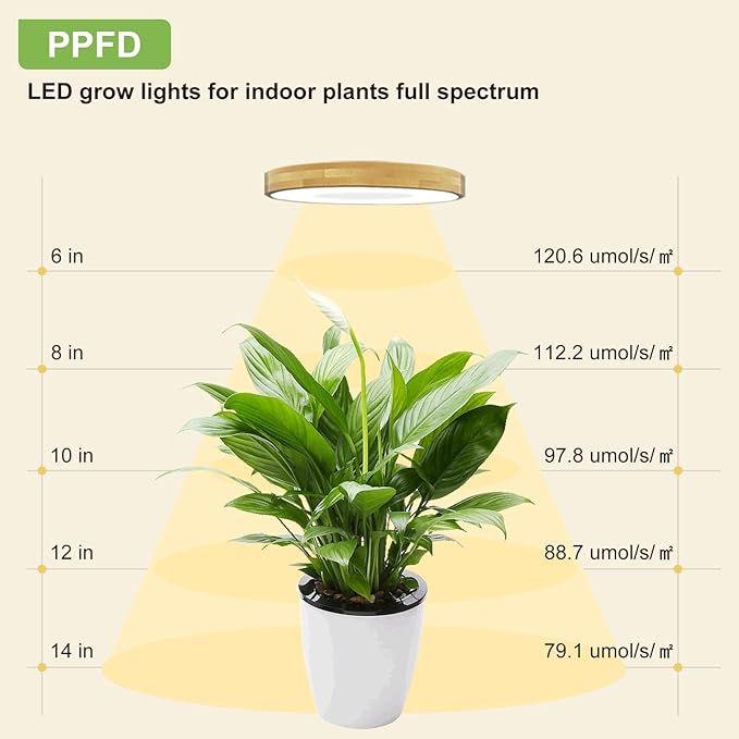 Grow Light for Indoor Plants, 144 LEDs Full Spectrum Halo Plant Light with Auto On/Off Timer (4/8/12H), 10-Level Dimmable, 3 Lighting Modes for Small Plants, Bamboo (6.3 inch Dual Head)