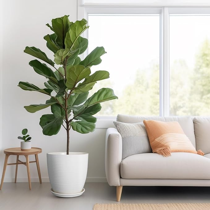 12 Inch Ceramic Planter Pot, Large Planter with Drainage Hole and Saucer Round Flower Pot for Indoor Outdoor Plants, White