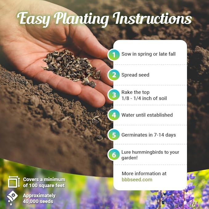 Hummingbird Nectar Wildflower Seeds - 1oz, Open-Pollinated Flower Seed Mix Packet, Non-GMO, No Fillers, Annual, Perennial Wildflower Seeds Year Round Planting - 1 oz