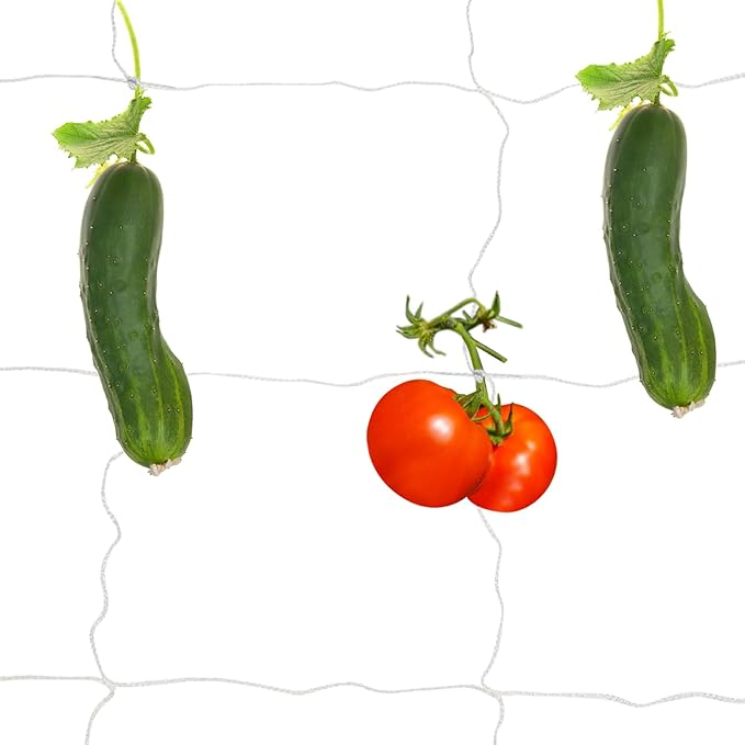 HARFINGTON Trellis Netting for Climbing Plants 29.5ft x 4.9ft 1 Strand Heavy Duty Garden Polyester Plant Support Net with 6"x6" Mesh for Fruits Vegetables Cucumber, White