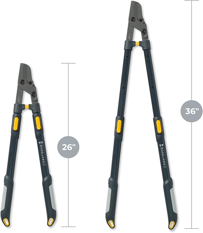 Woodland Tools Heavy Duty Extendable Lopper – 25 to 37 Inch Telescoping Branch Cutter with Lever-Action Bypass Blade – Manual Tree Limb Cutter for Thick Branches and Overhead Trimming