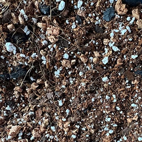 rePotme Peace Lily Imperial Houseplant Soil - Mini Bag (2 Quarts)