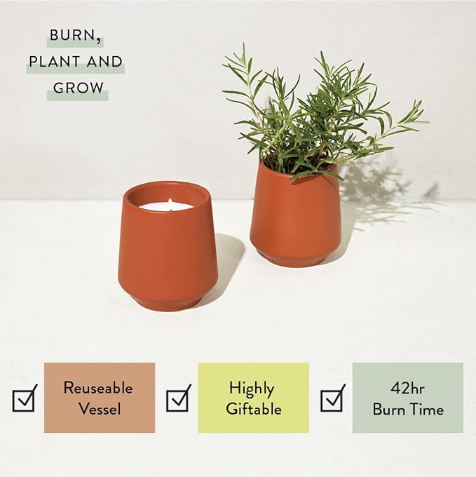 Modern Sprout Rooted Candle - 2 in 1 Cedarwood Scented & Soy Candle with Seeds That Grows into Lavender Plant - 6 oz w/ 42 hr Burn time in Matte Glaze Ceramic Vessel Ideal for Indoor Herb Garden
